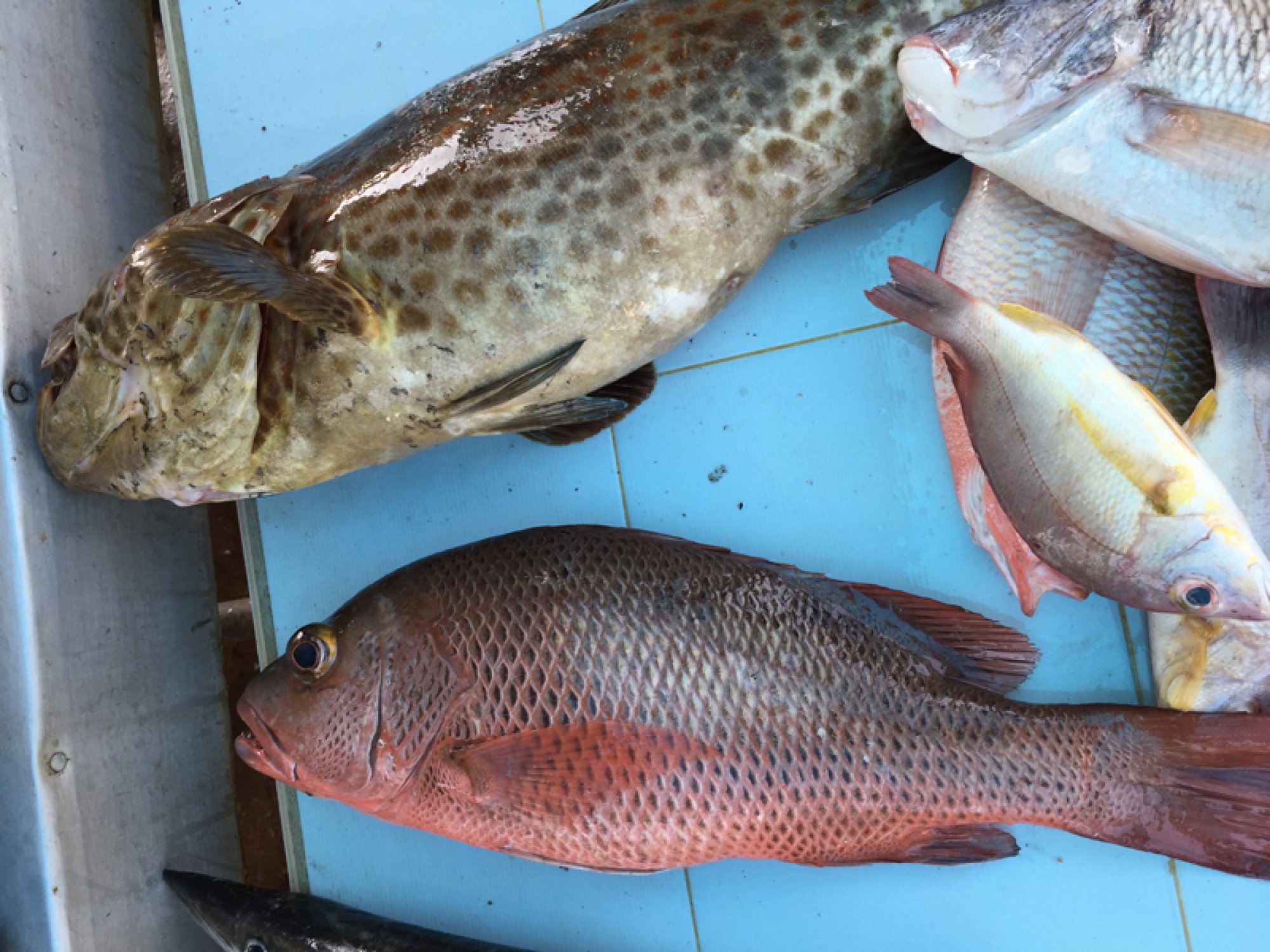 Vanina Villas Gallery